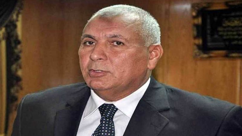 محافظ الوادى الجديد