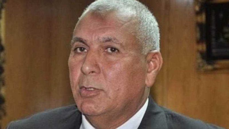 محافظ الوادى الجديد:37