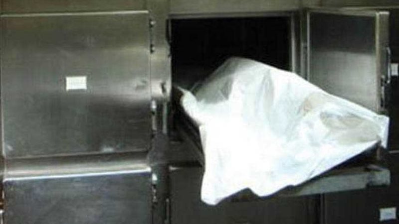 مصرع سيدة أمام الدواجن