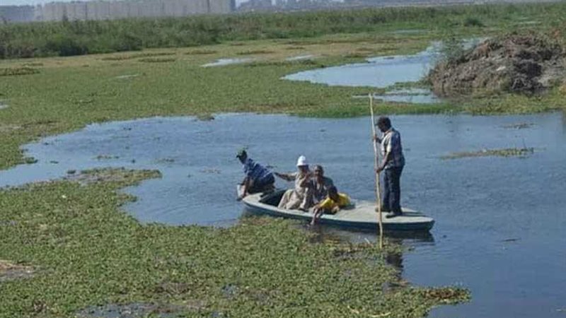 المصريين الأحرار