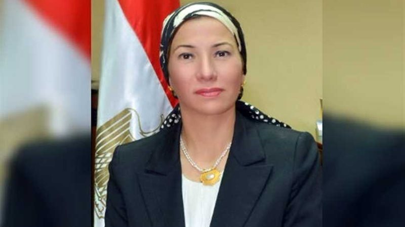 شرطة البيئة والمسطحات