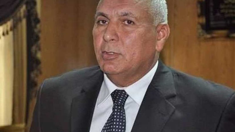 محافظ الوادي الجديد