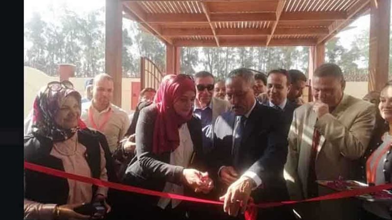 محافظ الإسماعيلية