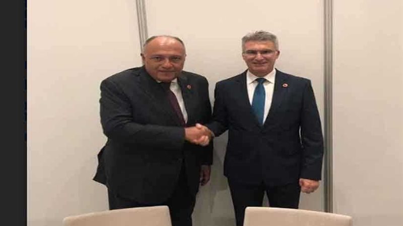 شكري يلتقي بوزير