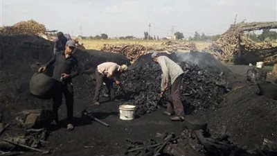 محافظة البحيرة تقرر حظر تشغيل مكامير الفحم حتى نهاية نوفمبر