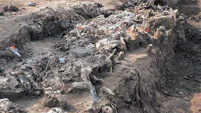 العثور على رفات 75 جثة بمقبرة جماعية في سرت الليبية