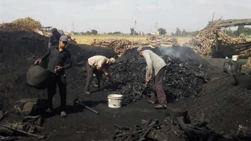 محافظة البحيرة تقرر