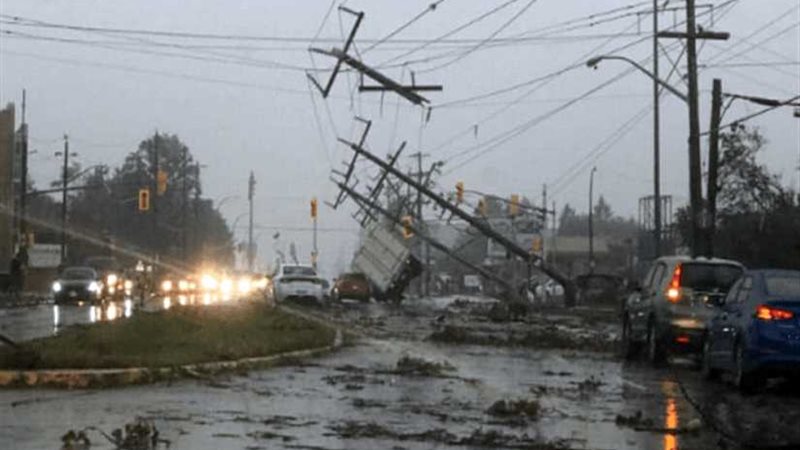 الأمم المتحدة: 1.3