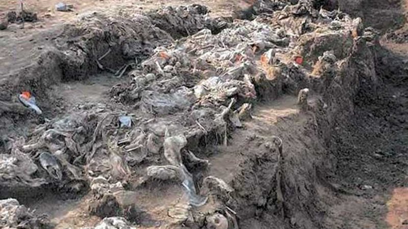 العثور على رفات 75