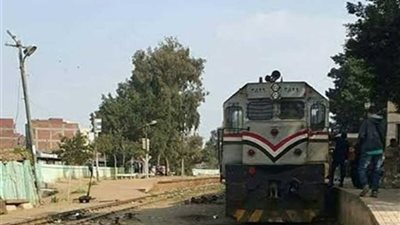 سقوط عاطل من أحدى القطارات بدمنهور