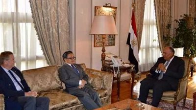 شكري يؤكد حرص مصر على التعاون مع كافة أجهزة الأمم المتحدة