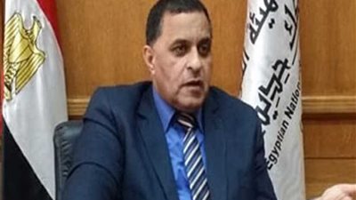 السكة الحديد: تسيير رحلات لنقل البضائع من ميناء الدخيلة إلى السد العالي