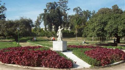 الزراعة تكشف حقيقة بيع حدائق 