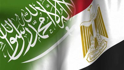 مصر والعديد من الدول أعلنوا تضامنهم مع السعودية.. ورفض الإساءة إليها
