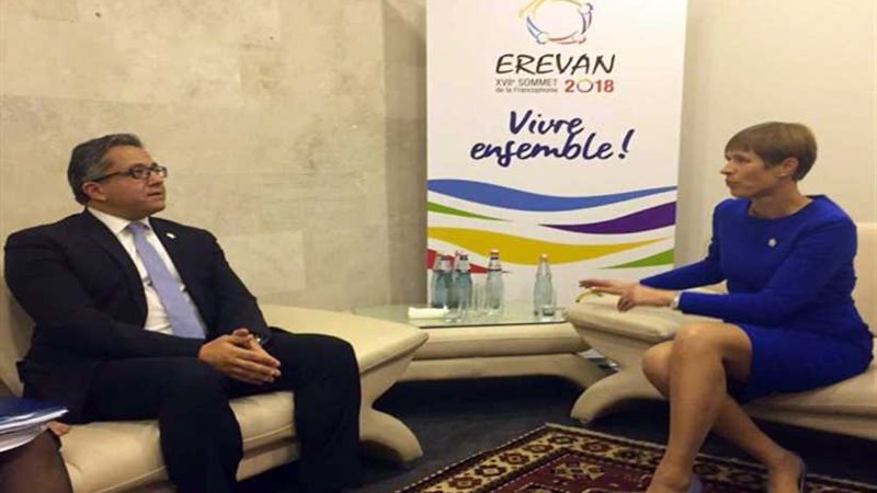 جلسة ثنائية بين العناني