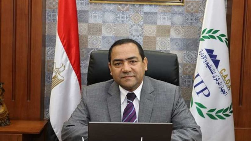 التنظيم والإدارة