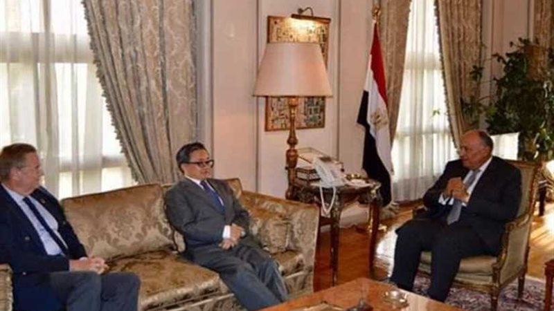 شكري يؤكد حرص مصر