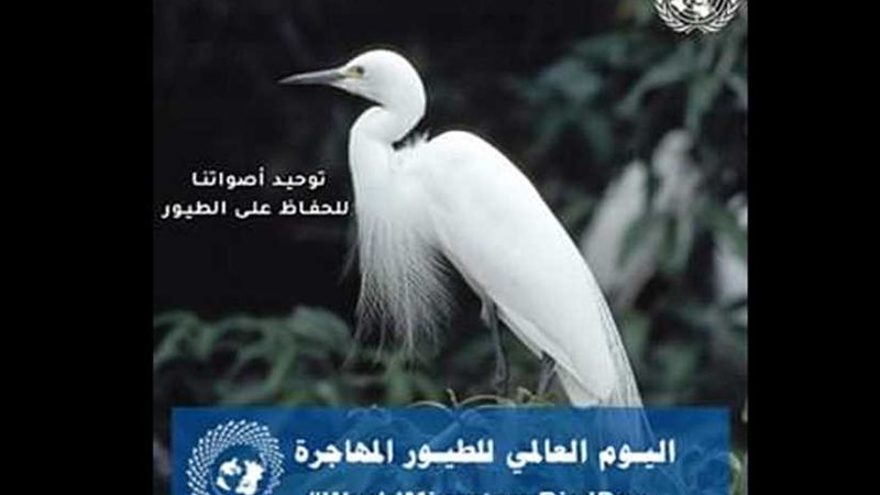 الأمم المتحدة تحتفل