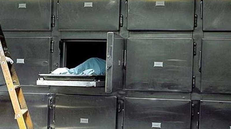 مجهول يقتل طبيبًا