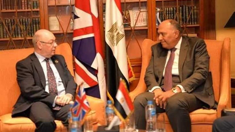 شكري يستقبل وزير