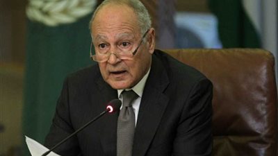 أبو الغيط يبدأ زيارة عمل إلى النمسا