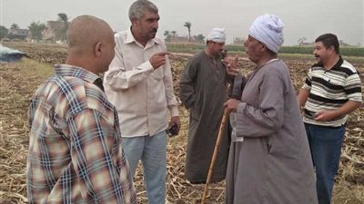 تحرير 36 محضرًا لحرق مخلفات الذرة بأسيوط وغرامات للمخالفين
