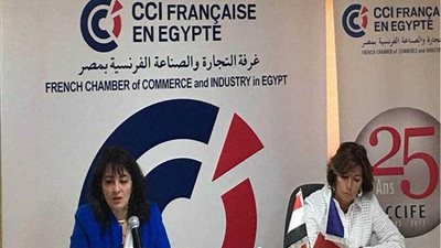 بعثة تجارية مصرية تزور باريس الأسبوع المقبل