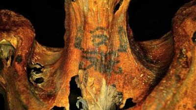 نتائج الدراسات الأثرية على مومياء المرأة ذات الوشم.. صور