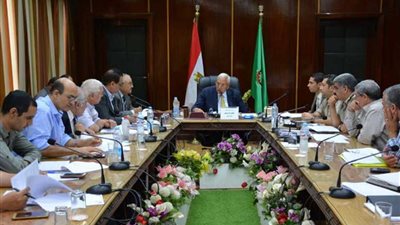 تشكيل لجنة لرفع كفاءة الطرق بالدقهلية