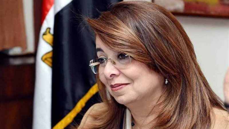 غادة والي: قانون