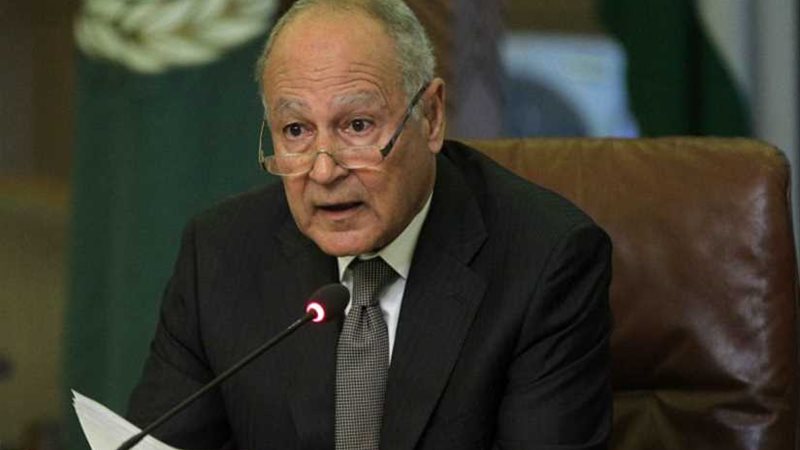 أبو الغيط يبدأ زيارة