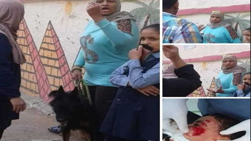 تطلق كلبًا لعقر تلميذ