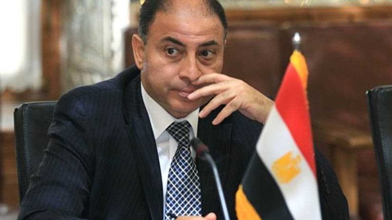 عمارة يؤكد حرص مصر