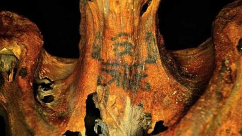 نتائج الدراسات الأثرية