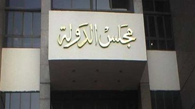 مجلس الدولة يتسلم مشروع قانون حماية البيانات