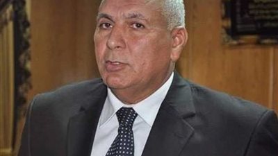 محافظ الوادي الجديد يكرم الحماية المدنية المشاركة في عمليات إطفاء 