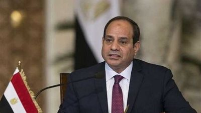 المتحدث باسم الري: الرئيس السيسي يدعم الأشقاء في دول حوض النيل