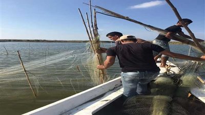 بالصور.. ضبط 59 قضية و10 آلاف متر غزل في حملة لإزالة التعديات على بحيرة البرلس