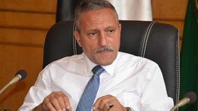 محافظ الإسماعيلية ومدير الأمن يزيلان إشغالات حي ثان