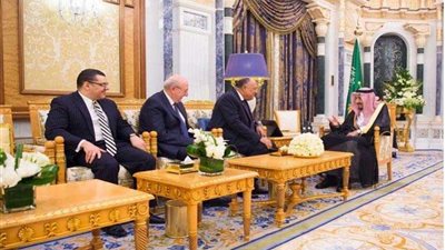 شكري يسلِّم رسالة من الرئيس السيسي إلى خادم الحرمين الشريفين