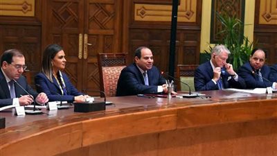 المتحدث الرئاسي: الرئيس السيسي أكد على توفير عوامل النجاح للشركات المستثمرة في مصر