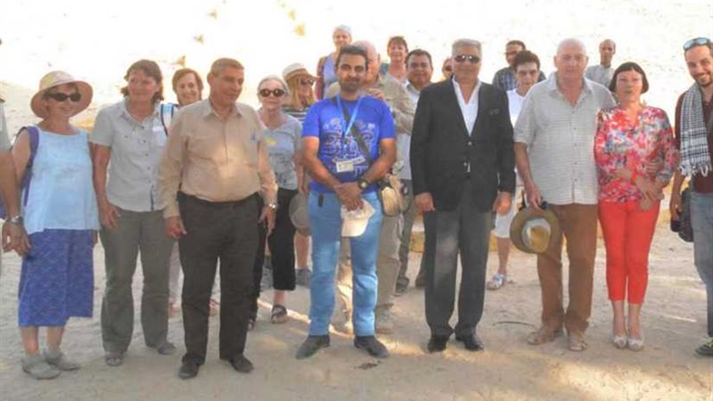 تصور شامل لتطوير