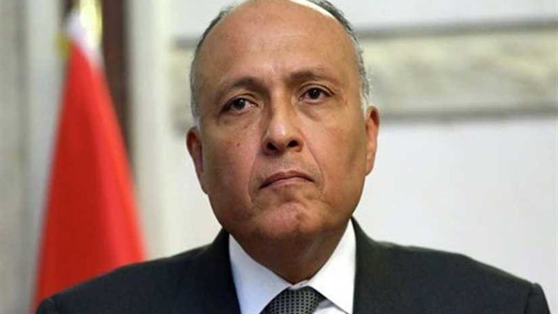 الخارجية تتابع التحقيقات