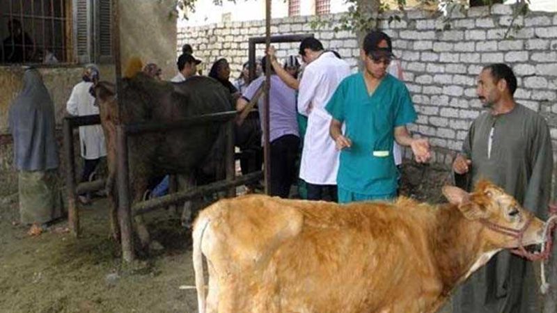 تحصين 18 الف و574