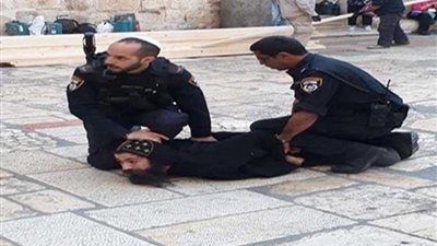 مجلس النواب: إسرائيل تتحدى المجتمع الدولي بانتهاكها لحرمة 