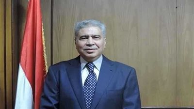 محافظ المنيا يتفقد عددًا من مداخل وبوابات المدينة لمتابعة أعمال التطوير