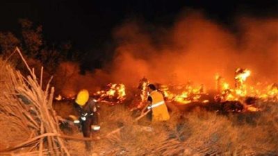 السيطرة علي حريق بمنطقة زراعية في الوادي الجديد