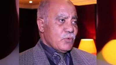 خبير: الاتفاقات الاقتصادية المصرية- السودانية تعزز الاستثمارات المشتركة