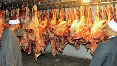 توزيع ٢٧,٥ طن لحوم على المواطنين الأسبوع المقبل