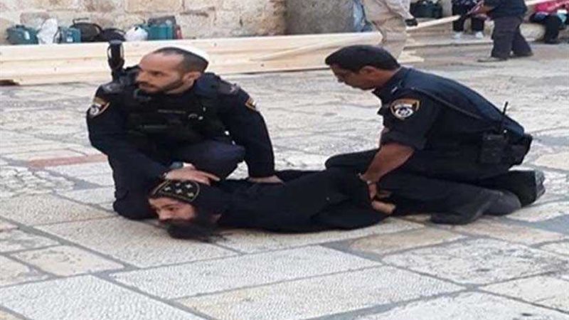 مجلس النواب: إسرائيل